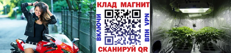 Каннабис Находка