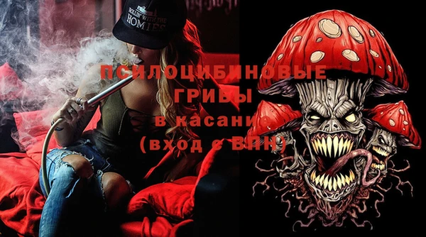 ешки Медногорск