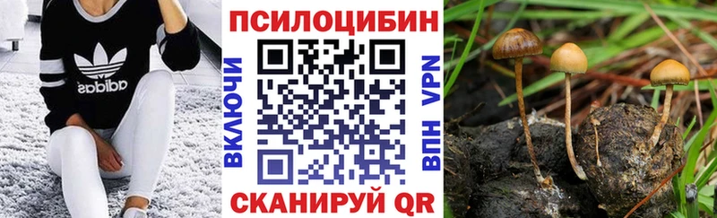 Галлюциногенные грибы прущие грибы  Купить где  Находка 